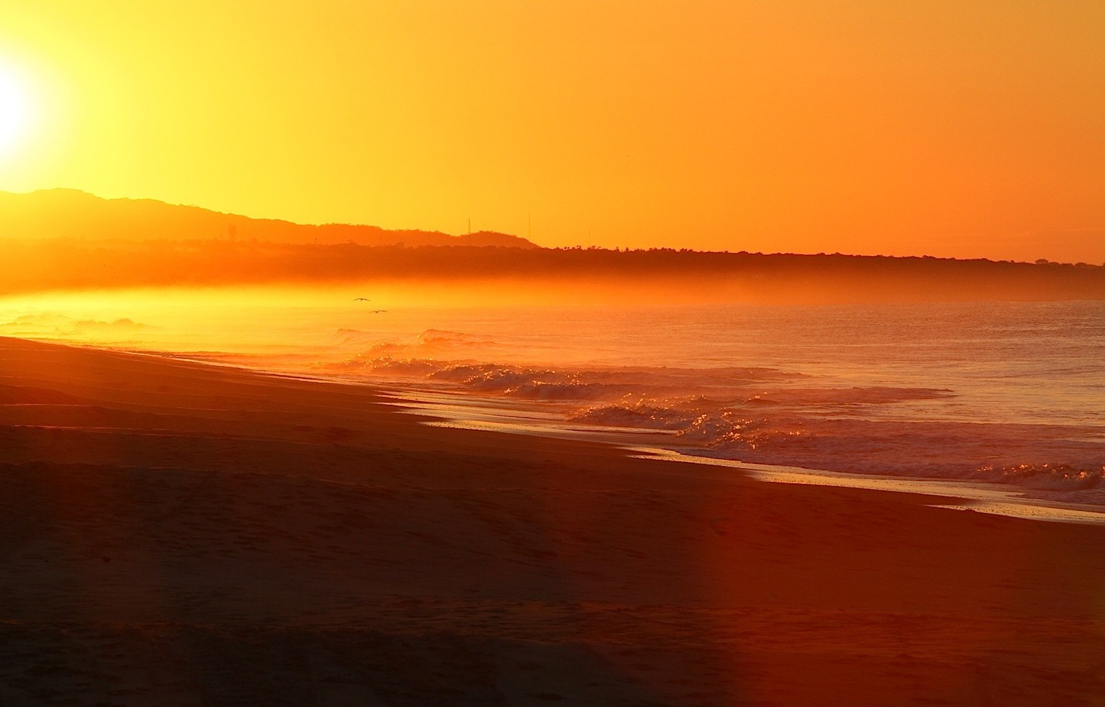 Beach at sunrise with glowing orange sky, silhouetted headland, misty surf, and two birds flying over waves