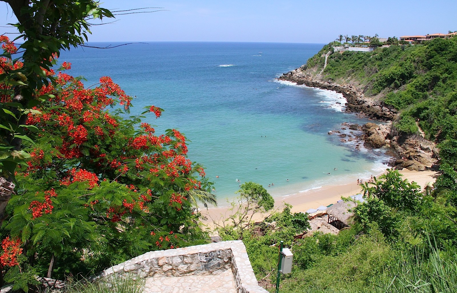 Elevated view of a curved beach cove with turquoise water, rocky cliffs, and red flowering tree branches in the foreground